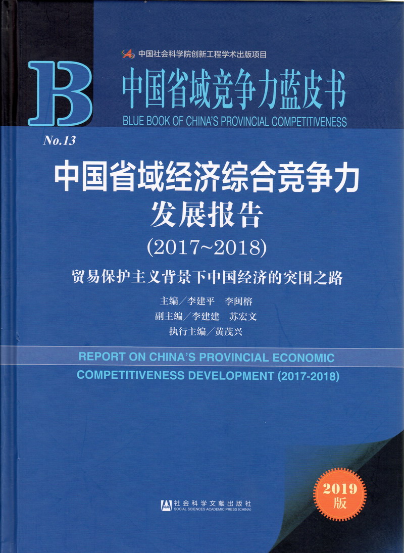 肏屄黄片免费观看中国省域经济综合竞争力发展报告（2017-2018）